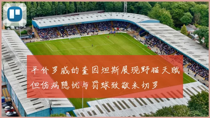 平价罗威的奎因坦斯展现野猫天赋但伤病隐忧与罚球致敬米切罗