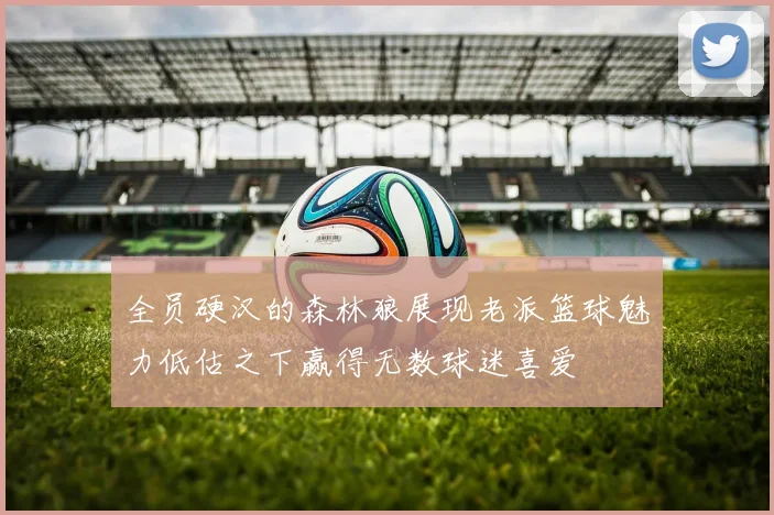 全员硬汉的森林狼展现老派篮球魅力低估之下赢得无数球迷喜爱